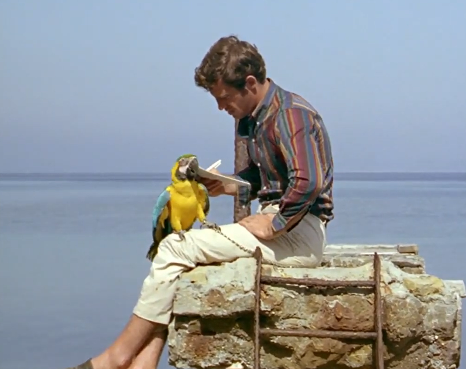 Belmondo dans Pierrot Le Fou.png
